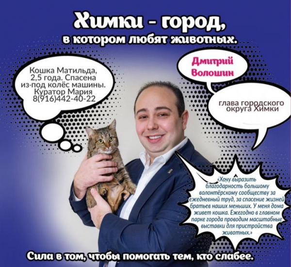 Глава Химок Дмитрий Волошин, спасатели, блогеры и звезды спорта помогают обрести дом бездомным животным