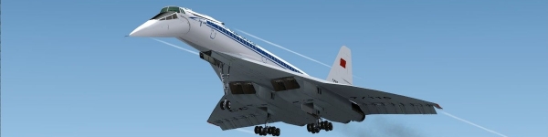 «Единая Россия» поддержит проект установки памятника самолёту Ту-144 
 