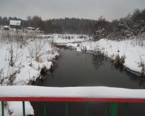 Минэкологии взяло на особый контроль состояние реки в Сергиево-Посадском районе
