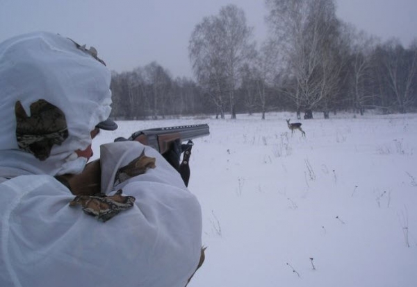 Осенне-зимний сезон охоты на лосей в Подмосковье завершается сегодня