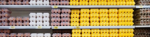 Мониторинг цен на продукты в Химках
 