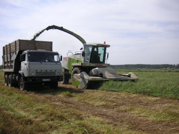 На поддержку сельхозкооперативов в Подмосковье за 3 года предоставлено 5 грантов на сумму порядка 140 млн. рублей