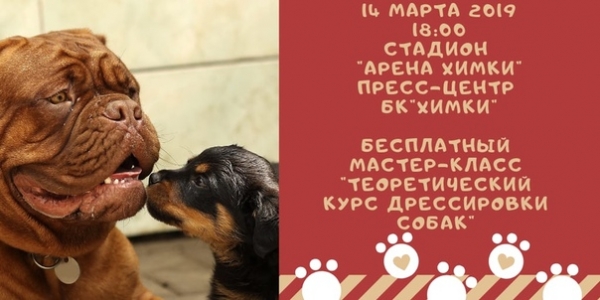 На днях в министерстве внутренних дел РФ представили целый список из 69 пород собак, которые, по словам органов власти, представляют потенциальную опасность для окружающих