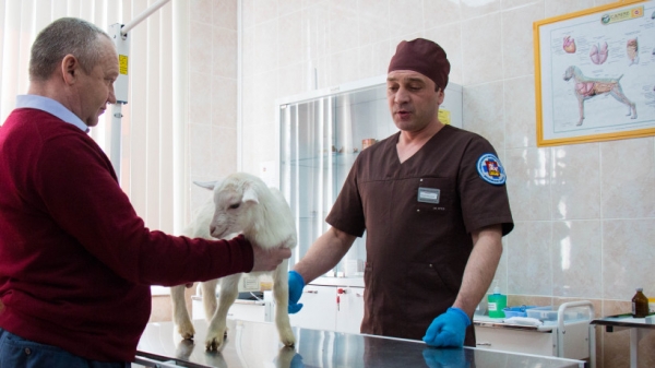 Андрей Разин открыл в Домодедове центр повышения квалификации ветеринаров