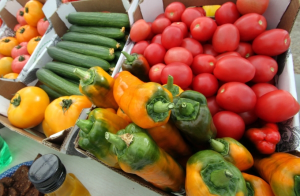 В тепличных хозяйствах Московской области собрано более 12,5 тысяч тонн овощей закрытого грунта