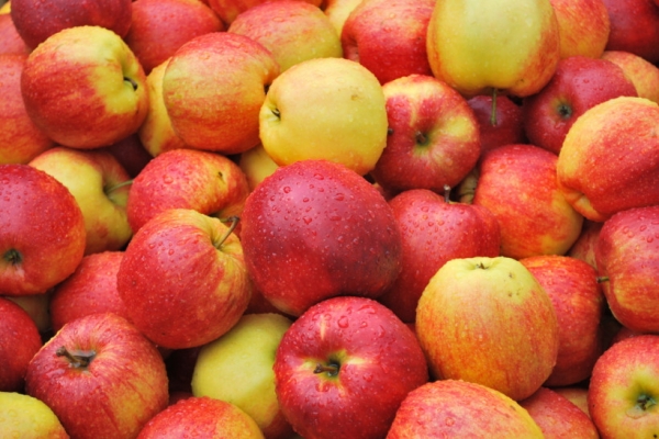 Участники рынка и сенаторы предлагают ограничить импорт яблок сезонными квотами