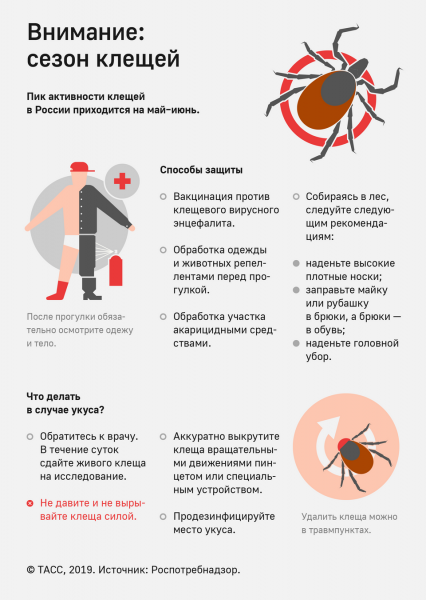 Более 2 млн россиян сделали прививки против клещевого энцефалита  