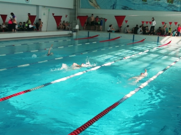 Более 130 химкинских спортсменов приняли участие в Открытом Первенстве спортивной школы «Химки» по плаванию, посвящённом памяти тренера В