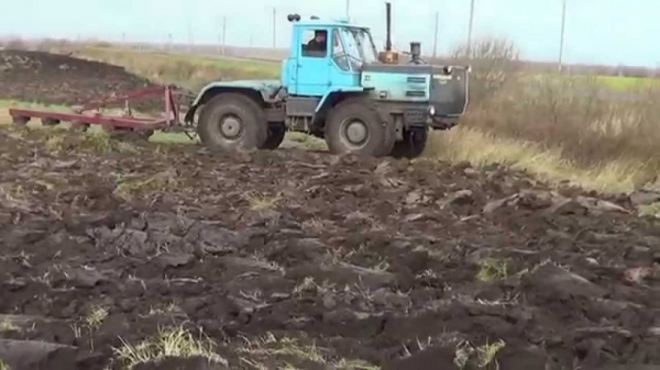 Порядка 1,2 тыс. гектаров заброшенных земель введут в оборот в Серпухове в 2019 году