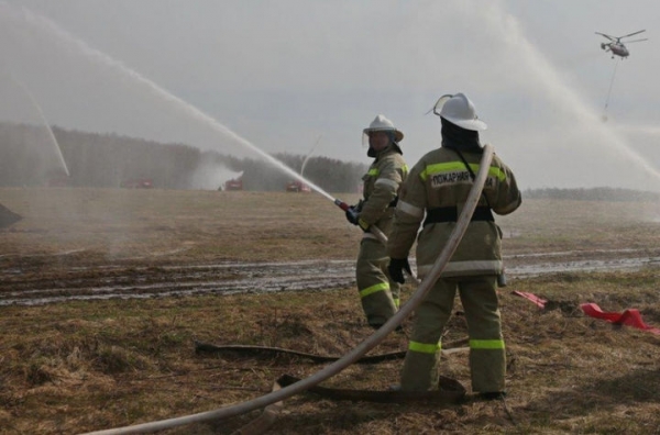 Учения сводного отряда по тушению природных пожаров прошла в Химках