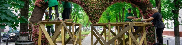 55 тысяч цветов украсят «Аллею любви» в Химках
 