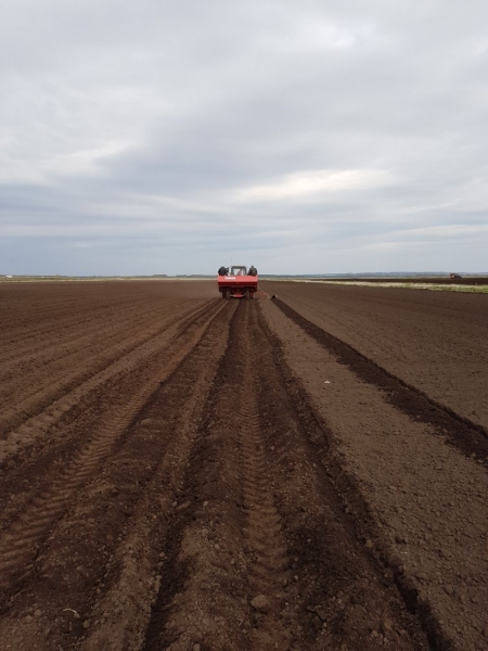 Около 60 тыс. га земель введут в сельскохозяйственный оборот в 2019 году