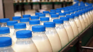 Объём реализации молока в сельхозорганизациях РФ вырос на 6%
