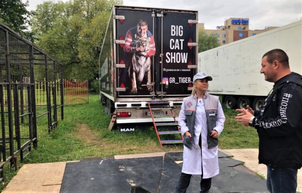 Государственная ветеринарная служба Подмосковья провела осмотр животных в цирке в городе Одинцово