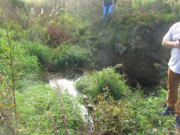 Экологи ликвидировали источник загрязнения реки Сходня в Химках 