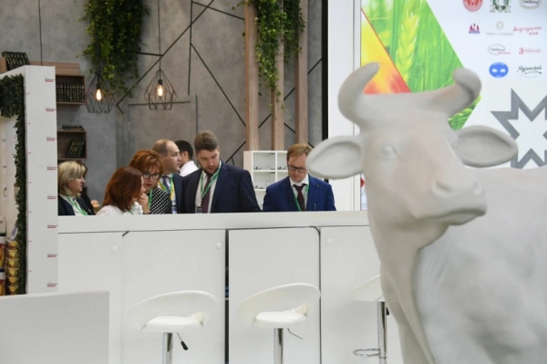Сельхозпредприниматели Подмосковья могут разработать бизнес-план на выставке "Золотая осень-2019"