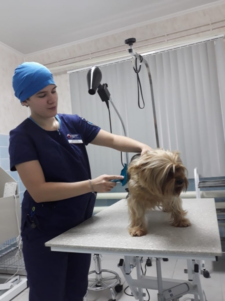 Грумминг-кабинеты открылись в ветеринарных клиниках Королева и Талдома