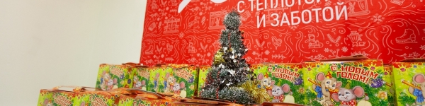 Почти 3000 детей из Химок получили новогодние подарки
 