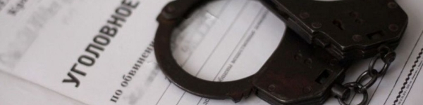 В Химках полицейскими задержаны подозреваемые в краже
 