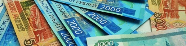 Среднемесячная зарплата химчан в 2019 году превысила 73 тысячи рублей
 