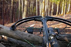 Управление Госохотнадзора Подмосковья рекомендует воздержаться от применения на охоте не зарегистрированного метательного стрелкового оружия