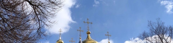 До 19 апреля вводится ограничение посещения храмов Московской епархии
 