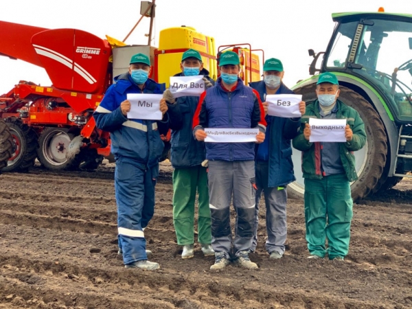 ГК «Дмитровские овощи» начали посев рассады в теплицах под урожай 2020 года и завершают подготовку почвы под весеннюю посевную компанию