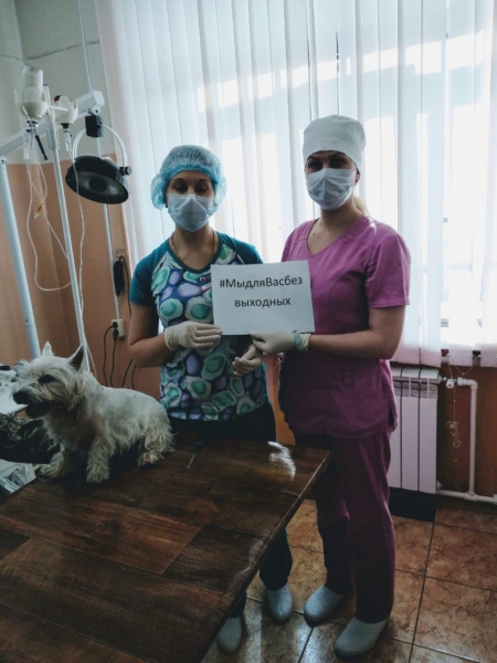 Ветеринарные врачи Подмосковья трудятся в круглосуточном режиме