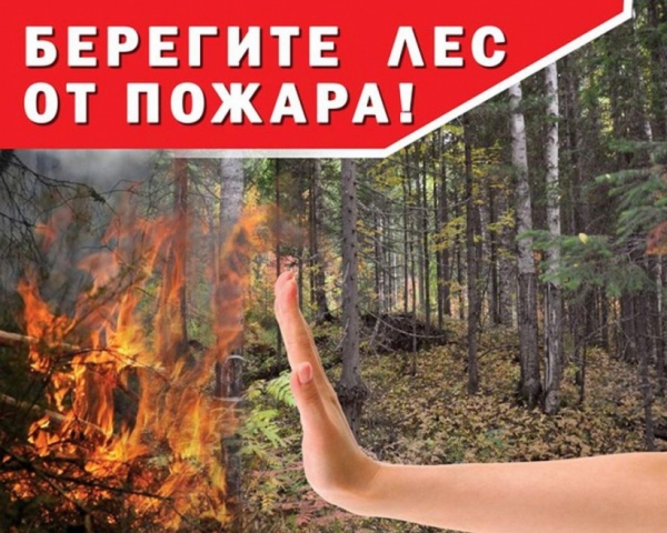 Памятка по лесным пожарам