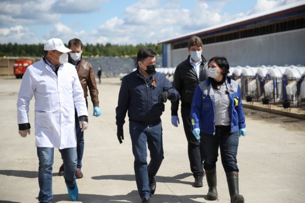 Губернатор Подмосковья вместе с главой Минсельхозпрода региона проверили работу молочно-товарной фермы в Озерах