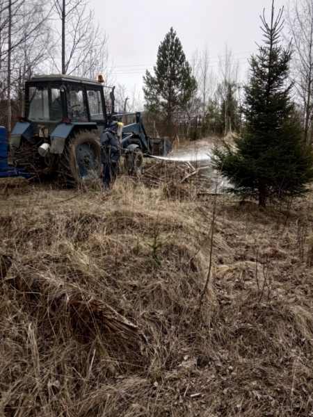 В 13 муниципалитетах Подмосковья провели первые мероприятия по обработке земель от борщевика