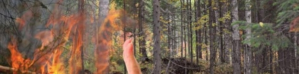 Памятка по лесным пожарам
 