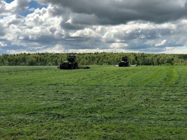 К заготовке кормов для скота приступили в Московской области