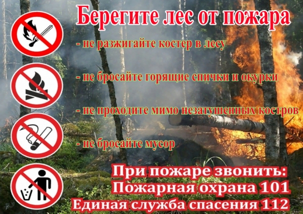 УМВД России по г.о. Химки напоминает о мерах профилактики, направленных на предупреждение лесных пожаров
