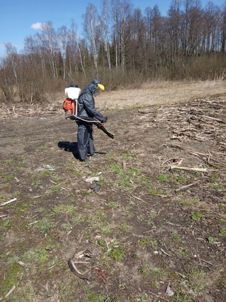 В 13 муниципалитетах Подмосковья провели первые мероприятия по обработке земель от борщевика
