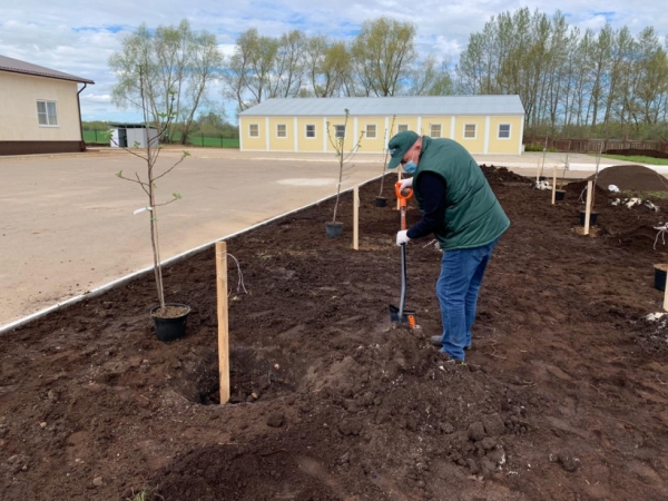 Сотрудники агрохолдинга «Дмитровские овощи» высадили яблоневый сад в честь юбилея Победы и поздравили ветеранов