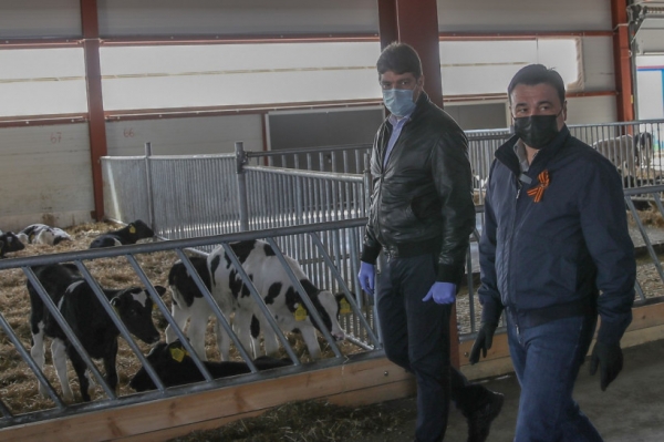 Губернатор Подмосковья вместе с главой Минсельхозпрода региона проверили работу молочно-товарной фермы в Озерах