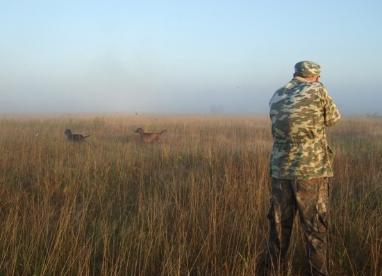 Порядка 3 тысяч охотничьих билетов выдали в Московской области с начала года