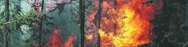 Памятка по лесным пожарам
 