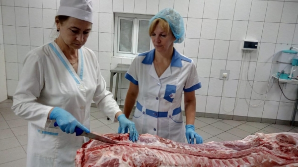 Специалисты ветеринарной службы Подмосковья проводят эпизоотический мониторинг предприятий по разведению свиней