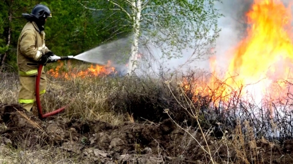 УМВД России по г.о. Химки напоминает о мерах профилактики, направленных на  предупреждение лесных пожаров
