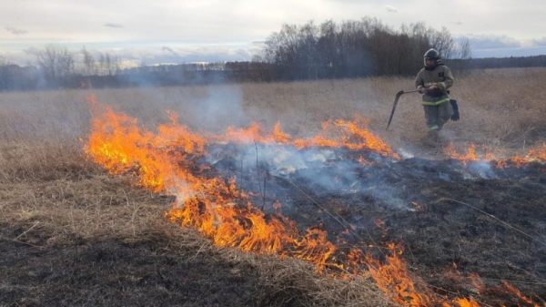 Химчанам запрещено поджигать траву и на своих садовых участках