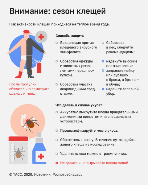 Более 1,7 млн россиян сделали прививки от клещевого энцефалита с начала года  