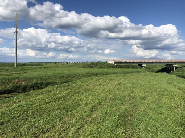 На мелиорацию сельхозземель в Московской области ежегодно выделяется около 1 млрд рублей