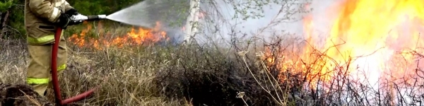 УМВД г.о. Химки напоминает о мерах профилактики лесных пожаров
 