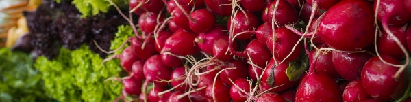 В Химках откроются сезонные ярмарки «Летняя ягодка»
 