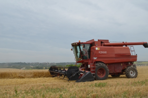 Урожай зерна в Московской области превышен на 158% относительно прошлого года