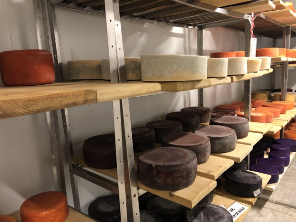Более 29,5 тыс тонн сыра произведено в Подмосковье за первое полугодие 2020 года