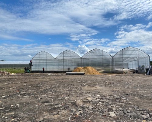Тепличный комплекс по выращиванию тюльпанов построят в подмосковном Раменском до конца 2020 года
