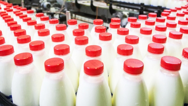 Перспективы молочной отрасли Московской области обсудят 6 августа в Дмитровском городском округе